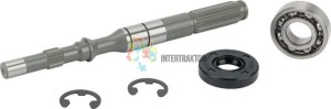 Wał pompy/zestaw łożyska 168T2099250
