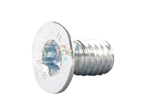 Wkręt z łbem stożk. pł. z gniazd. Torx M6x10-8.8 ocynk. E05845ASM