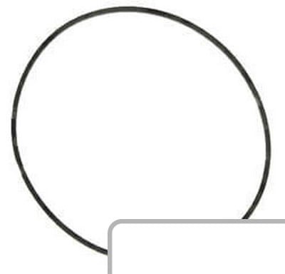 Oring 0.224.5452.0 - Intertraktor