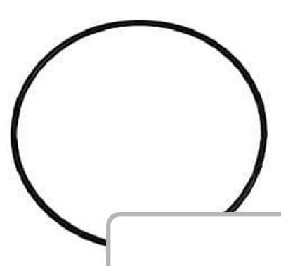 Oring 0.900.0089.8 - Intertraktor