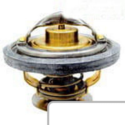 Termostat 00071258320 - Intertraktor