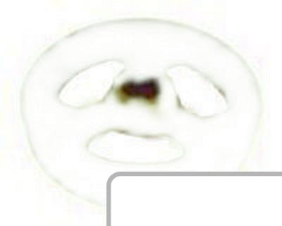 Napinacz 02-0220 - Intertraktor