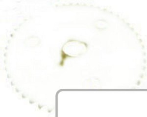 Zębatka napędu wysypu Z50 04-0286