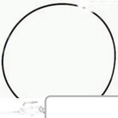 Oring 04350420 - Intertraktor