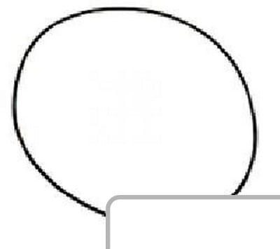 Oring 04415192 - Intertraktor