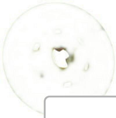Połówka koła pływającego stała 05-0185 - Intertraktor