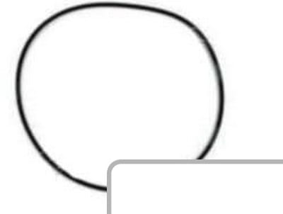 Oring 1004633M1 - Intertraktor