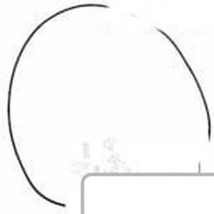 Oring 100552A1