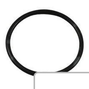 Oring 1006234M1