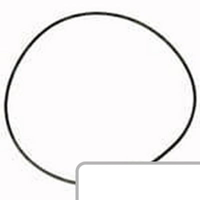 Oring 11709269 - Intertraktor