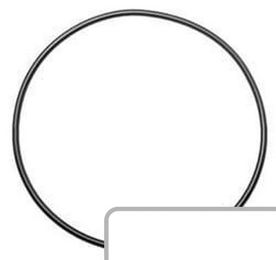 Oring 11988610 - Intertraktor