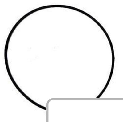 Oring 126658 - Intertraktor