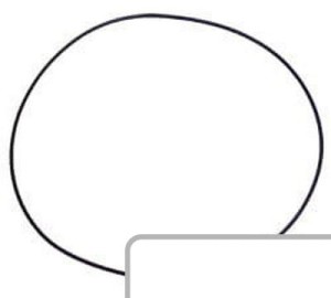 Oring 1286083C1