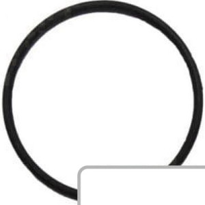 Oring 1440011X1