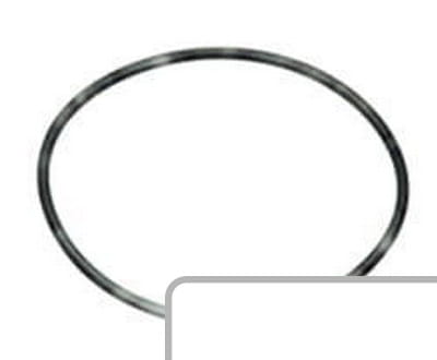 Oring 14454680 - Intertraktor