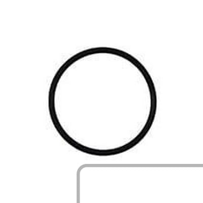 Oring 14458881 - Intertraktor