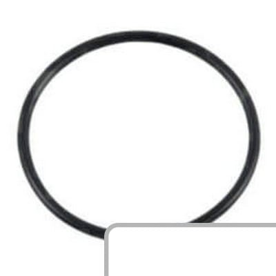 Oring 14459080 - Intertraktor