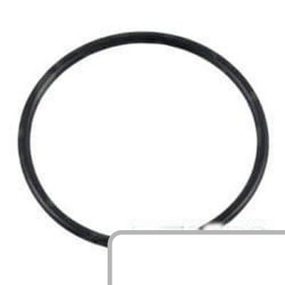 Oring 14459181 - Intertraktor