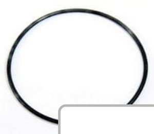 O-Ring 14459680