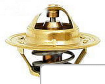 Termostat 1446127M91 - Intertraktor