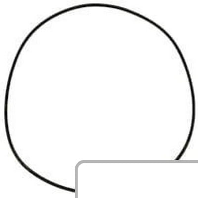 Oring 14462080 - Intertraktor