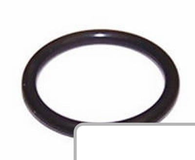 Oring 14463381 - Intertraktor