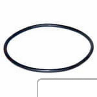Oring 1610254M1 - Intertraktor