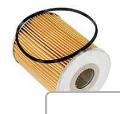 Filtr oleju 1883288M91 - Intertraktor