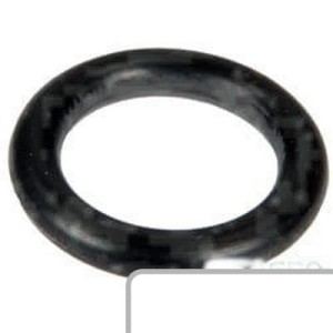Oring 195562M1