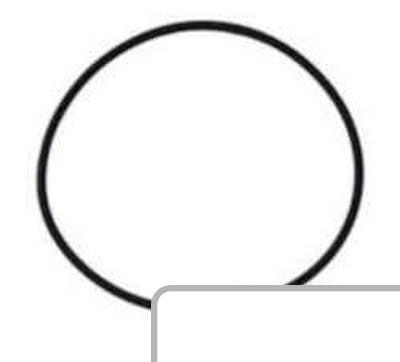 Oring 2.1530.205.0 - Intertraktor
