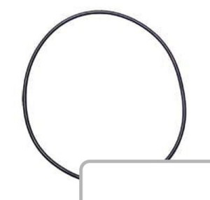 Oring 2.1532.243.0