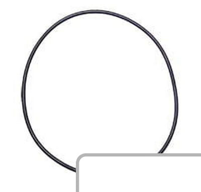 Oring 2.1532.243.0 - Intertraktor