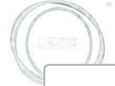 Oring 215691500 - Intertraktor
