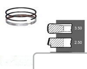 Pierścienie STD 293181A1