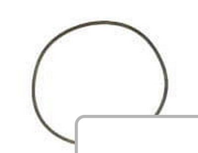 Oring 3052592M2 - Intertraktor