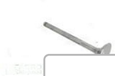 Zawór ssący 3055055R2 - Intertraktor