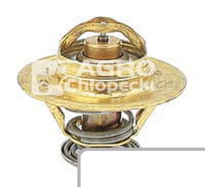 Termostat 3059676R91 - Intertraktor