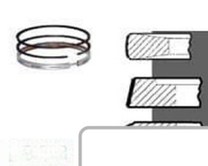 Pierścienie STD 3144977R91