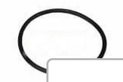 Oring 3228344R1 - Intertraktor