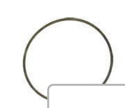 Oring 3382252M1 - Intertraktor