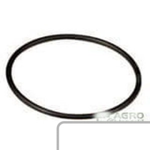 Oring 3382253M1