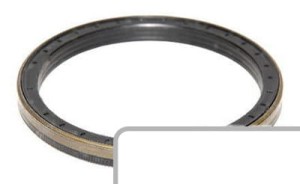 Uszczelnienie 3429889M1