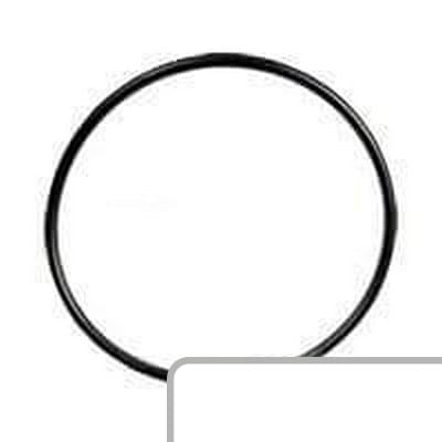 Oring 359119X1 - Intertraktor