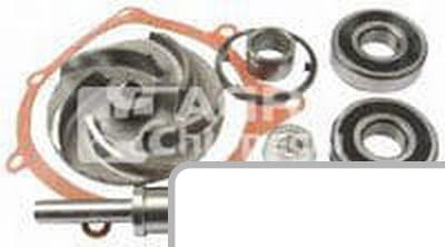 Zestaw naprawczy pompy wody 3641379M91 - Intertraktor