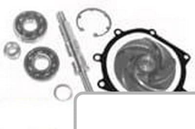 Zestaw naprawczy pompy wody 3641379M91 - Intertraktor