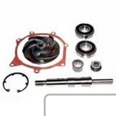 Zestaw Naprawczy Pompy Wody 3641380M91 - Intertraktor
