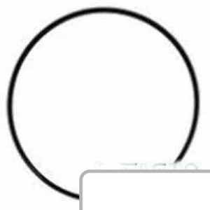 Oring 3760819M1