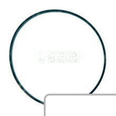 Oring 3815651M1 - Intertraktor