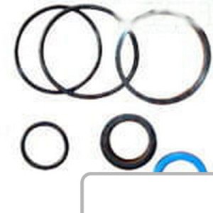 Zestaw naprawczy siłownika 3900289M91