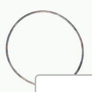 Oring 401723R1
